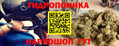крисы Мариинск