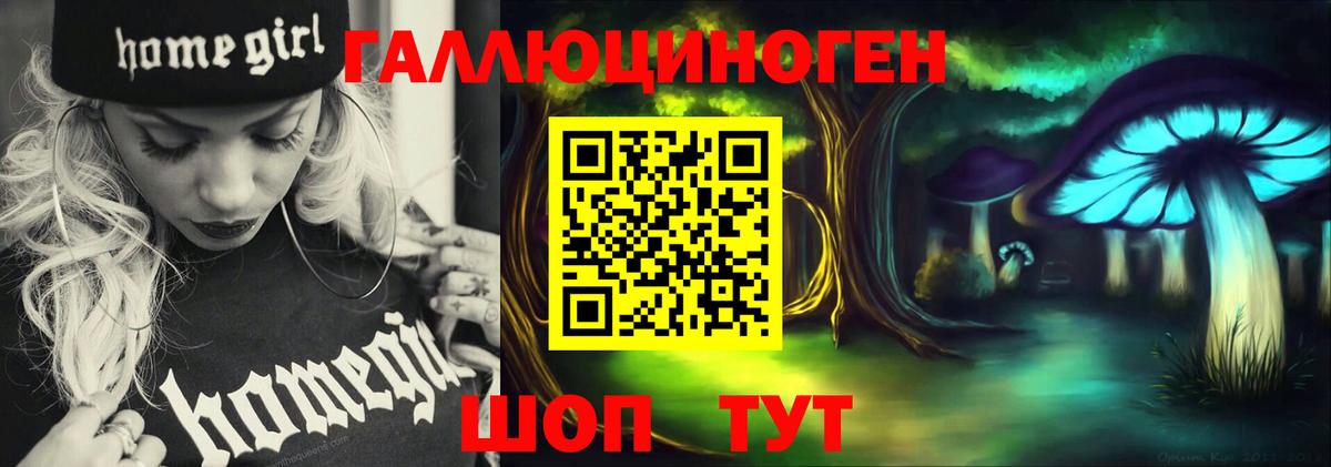 Галлюциногенные грибы MAGIC MUSHROOMS  Псилоцибиновые грибы прущие грибы  Вход с VPN  Чернушка 